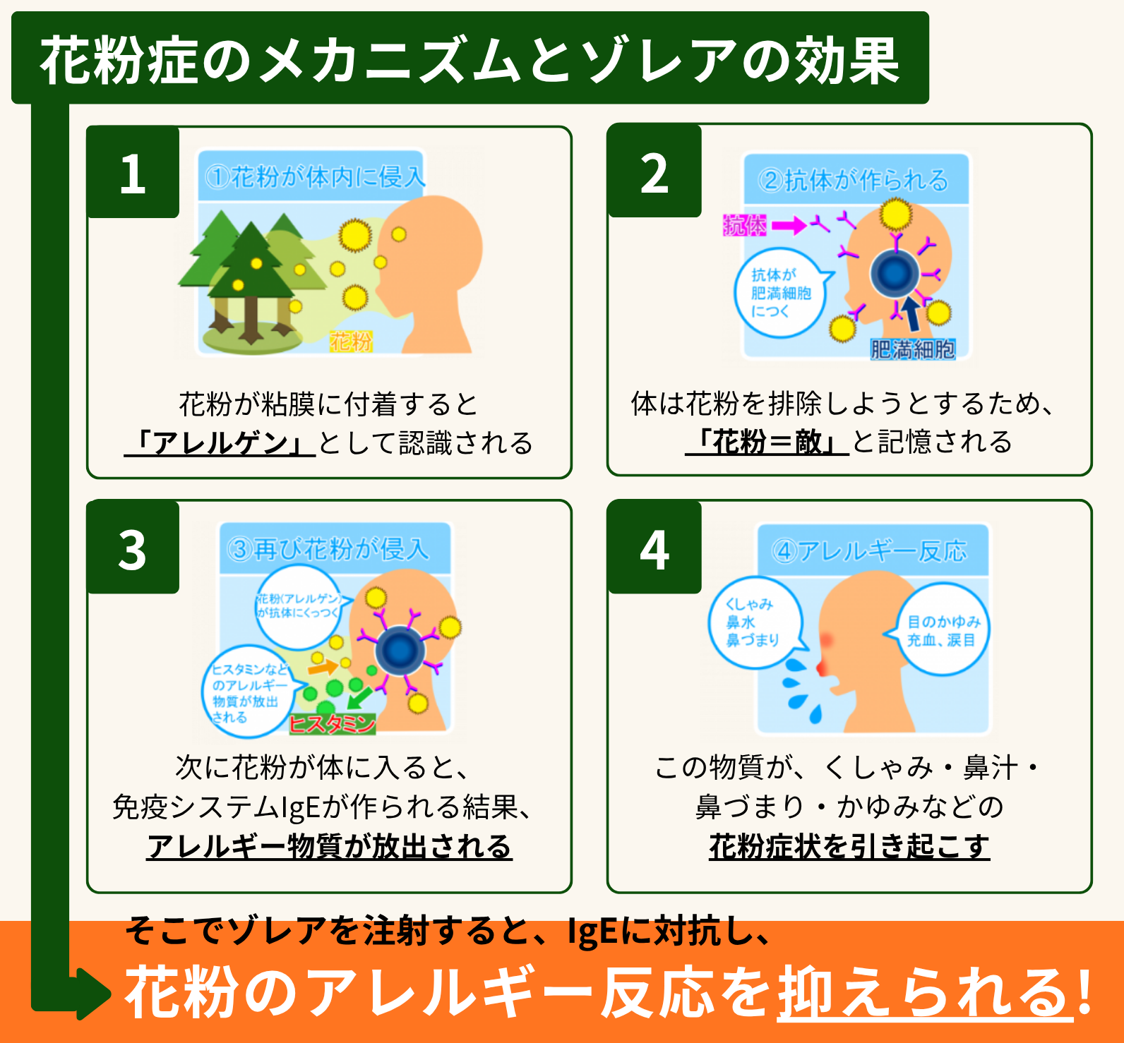 1回で効果を実感！重度花粉に効くゾレア注射