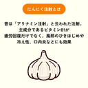 ニンニク注射（アリナミン注射）